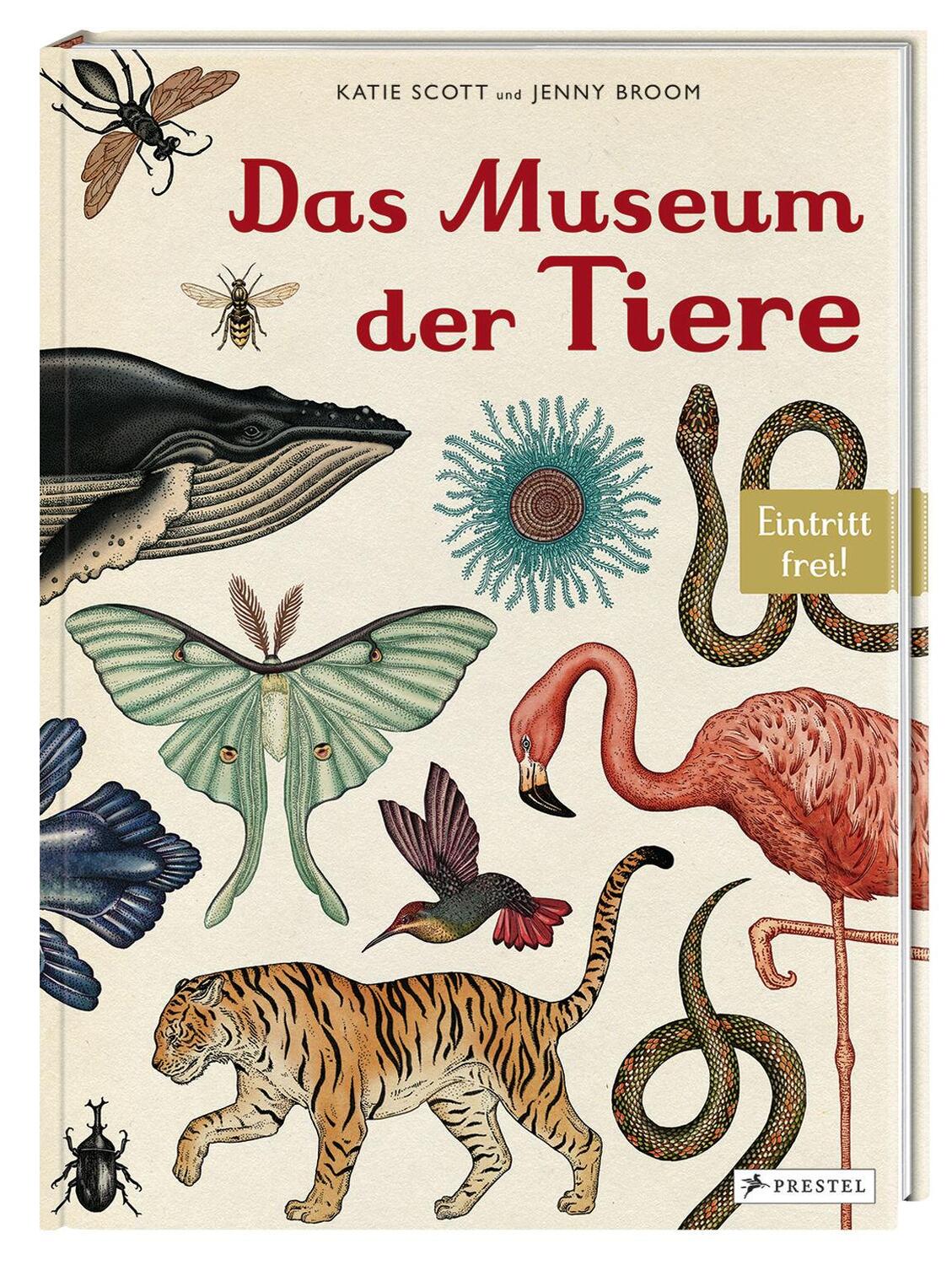 Bild: 9783791371771 | Das Museum der Tiere | Eintritt frei! | Jenny Broom | Buch | 108 S.