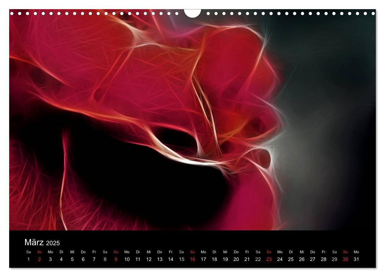 Bild: 9783435771554 | Floral Abstrakt 2025 (Wandkalender 2025 DIN A3 quer), CALVENDO...