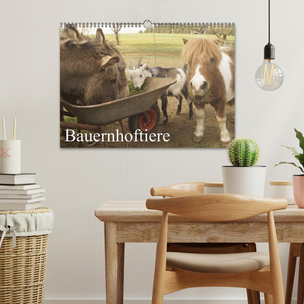 Bild: 9783435663378 | Bauernhoftiere (Wandkalender 2025 DIN A3 quer), CALVENDO...