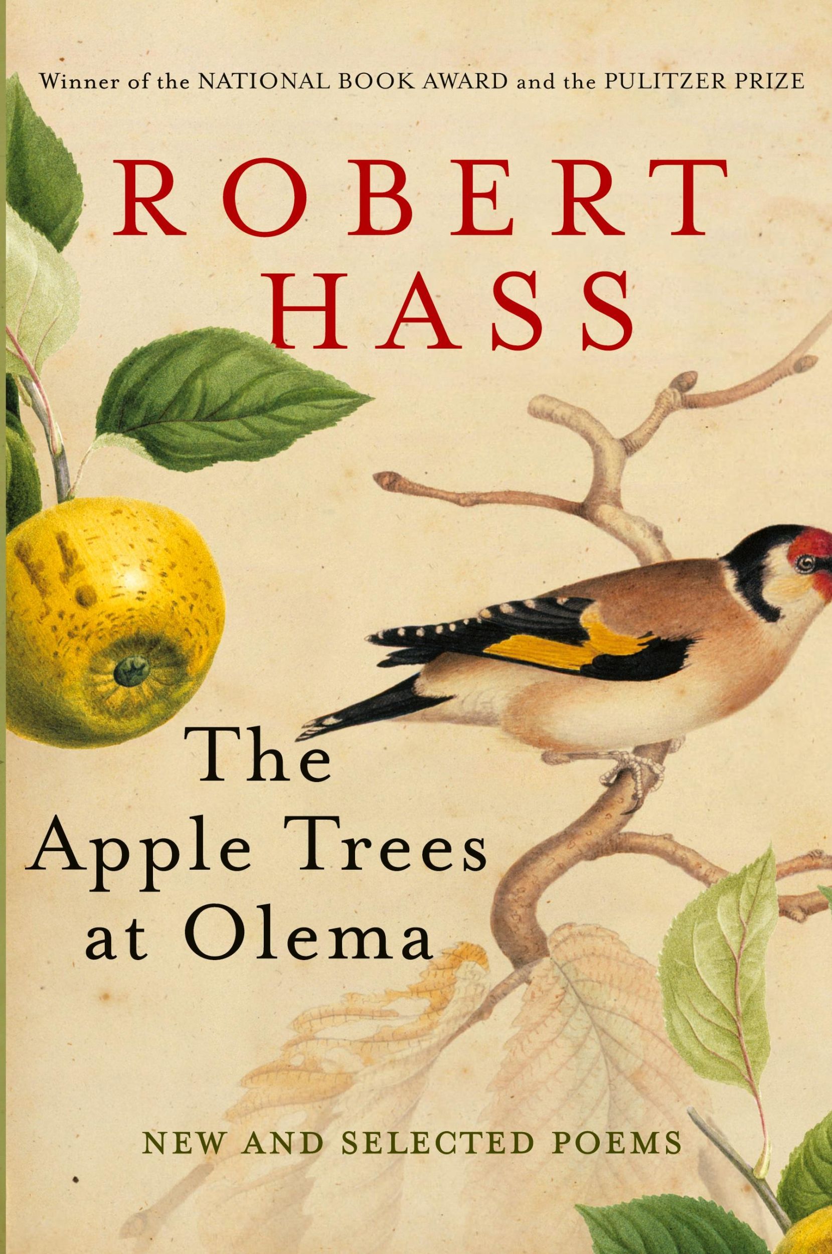 Cover: 9780061923906 | Apple Trees at Olema, The | Robert Hass | Taschenbuch | Englisch