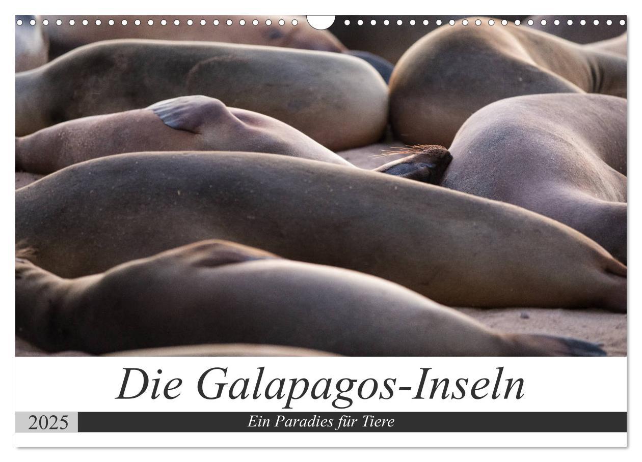 Cover: 9783435324118 | Galapagos-Inseln - Ein Paradies für Tiere (Wandkalender 2025 DIN A3...