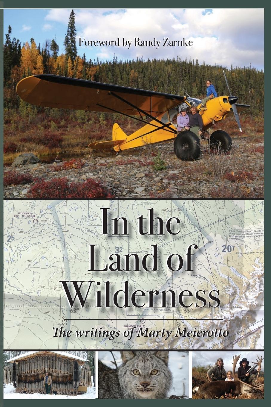 Cover: 9781594339615 | In the Land of Wilderness | Marty Meierotto | Taschenbuch | Paperback