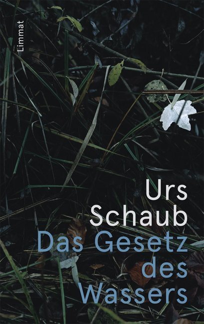 Cover: 9783857918551 | Das Gesetz des Wassers | Urs Schaub | Taschenbuch | 2018