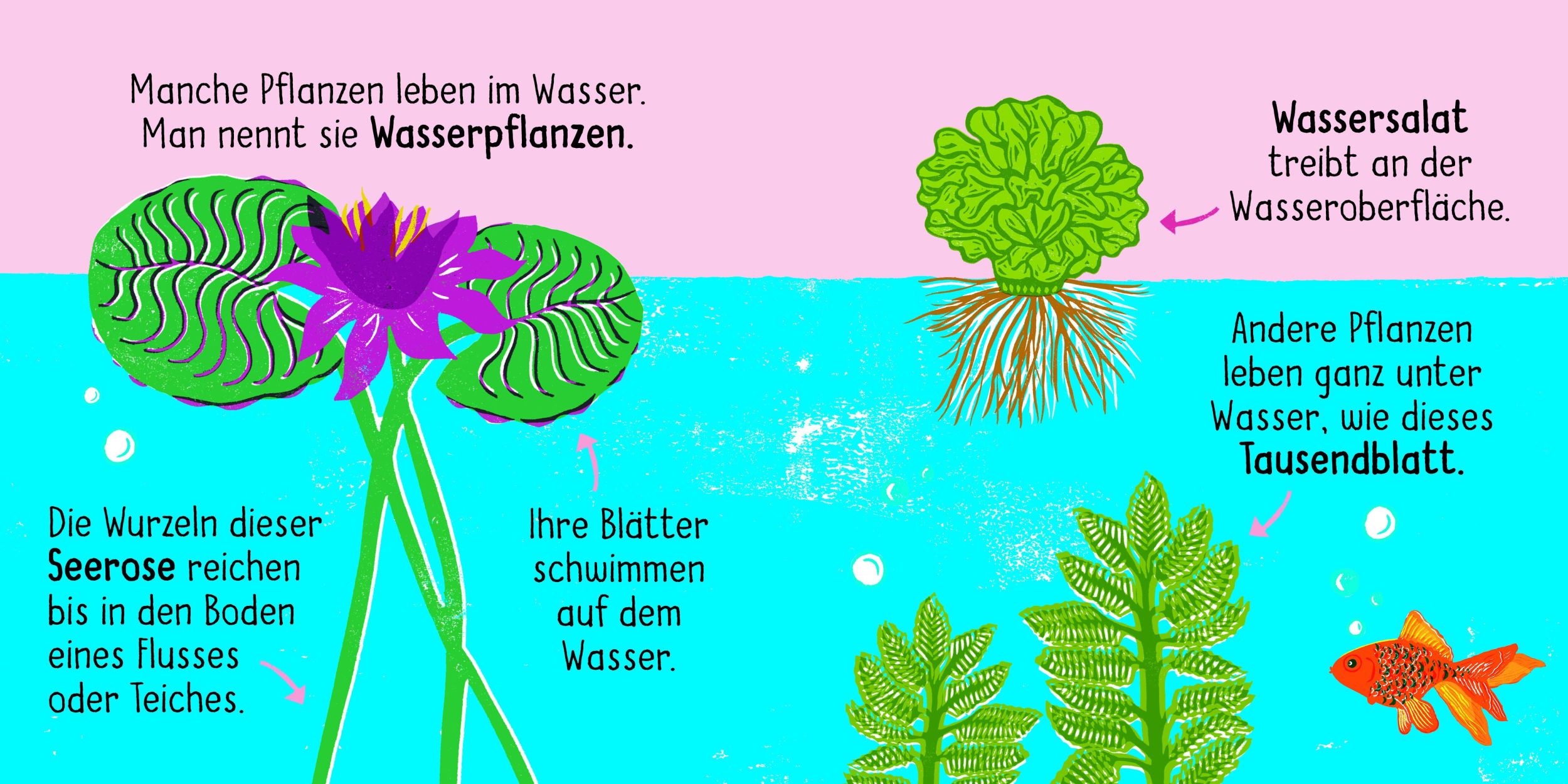 Bild: 9783411708468 | 50 Wörter über die Natur - Pflanzen | Pegley-Stanger | Buch | 32 S.