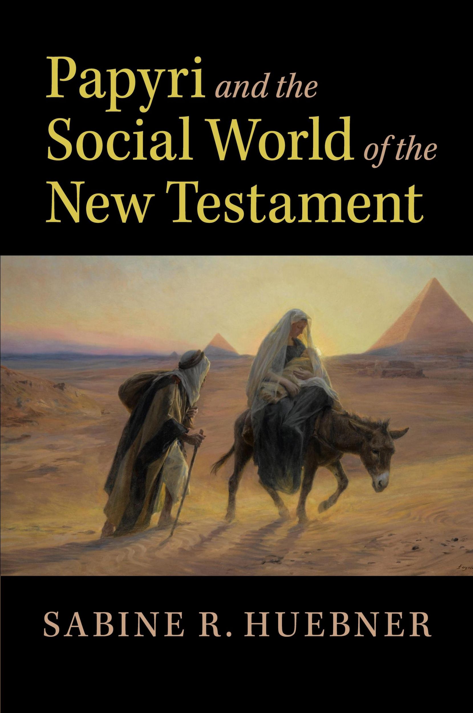 Cover: 9781108455701 | Papyri and the Social World of the New Testament | Sabine R. Huebner