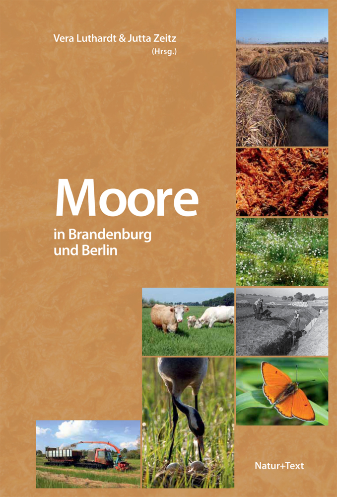 Cover: 9783942062138 | Moore in Brandenburg und Berlin | Vera Luthardt (u. a.) | Buch | 2018