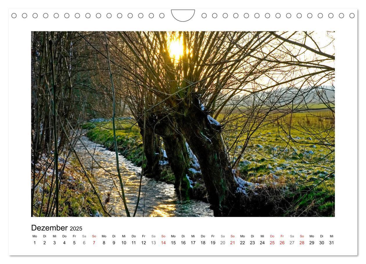 Bild: 9783435156207 | Impressionen aus Ostwestfalen-Lippe (Wandkalender 2025 DIN A4...