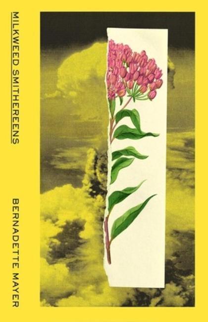 Cover: 9780811229227 | Milkweed Smithereens | Bernadette Mayer | Taschenbuch | Englisch