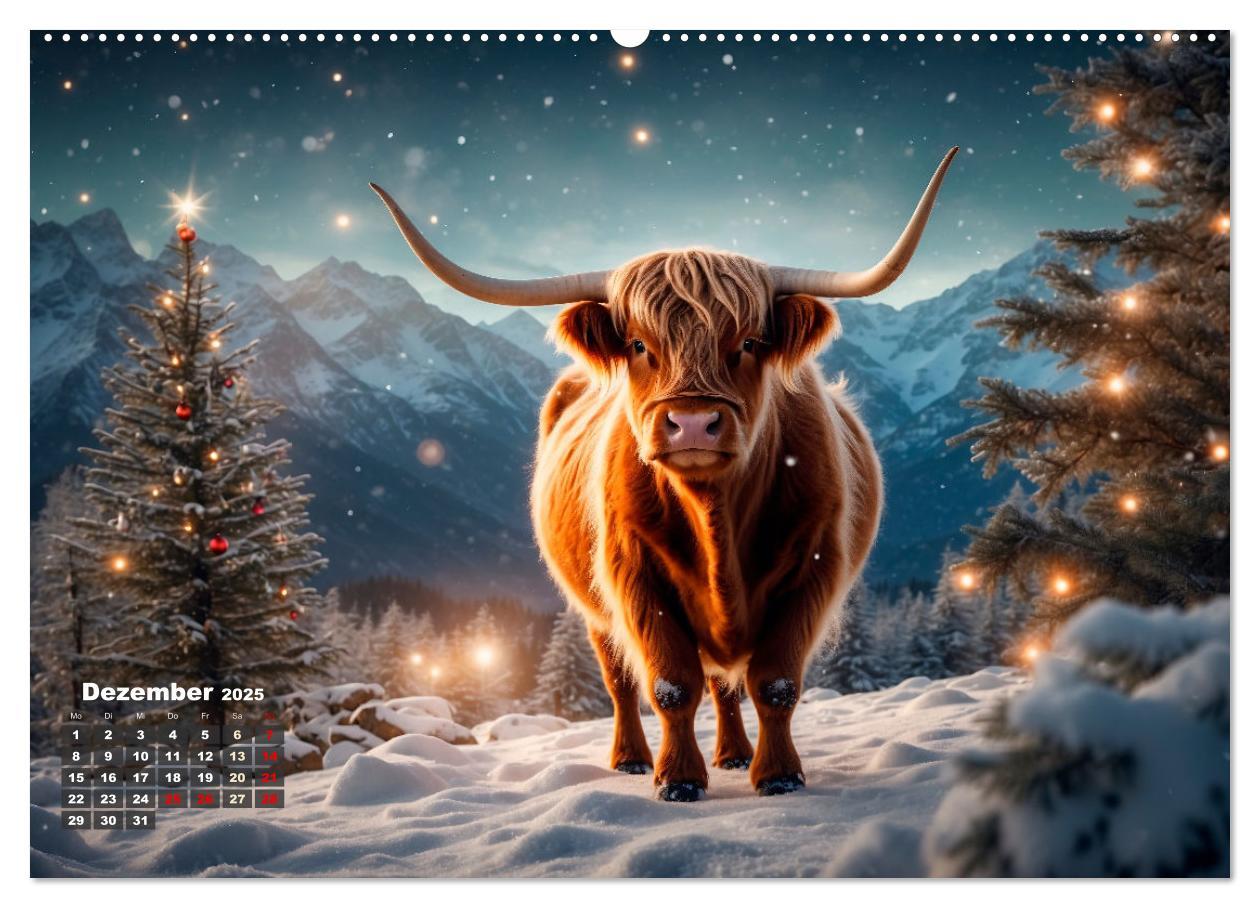 Bild: 9783383840784 | Highland Kühe (Wandkalender 2025 DIN A2 quer), CALVENDO Monatskalender