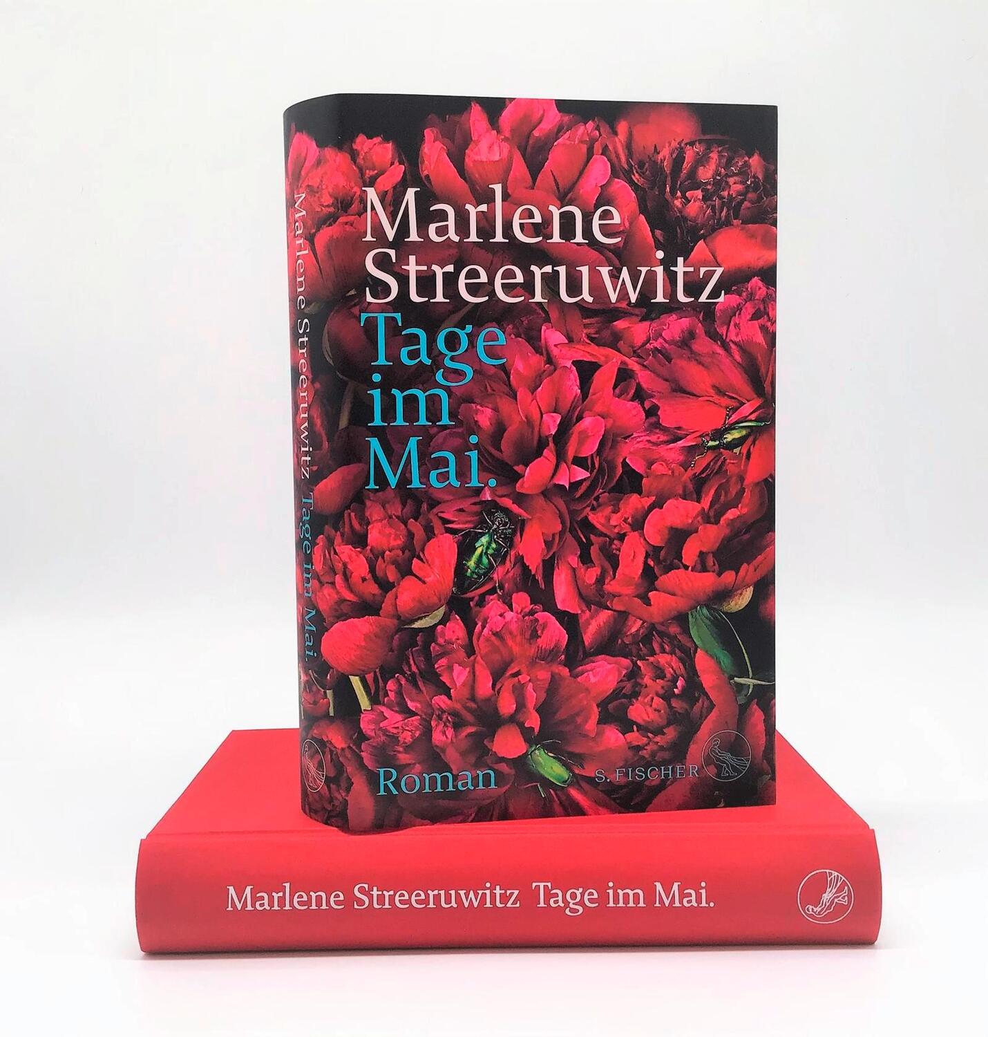 Bild: 9783103973501 | Tage im Mai. | Roman dialogué. | Marlene Streeruwitz | Buch | 381 S.