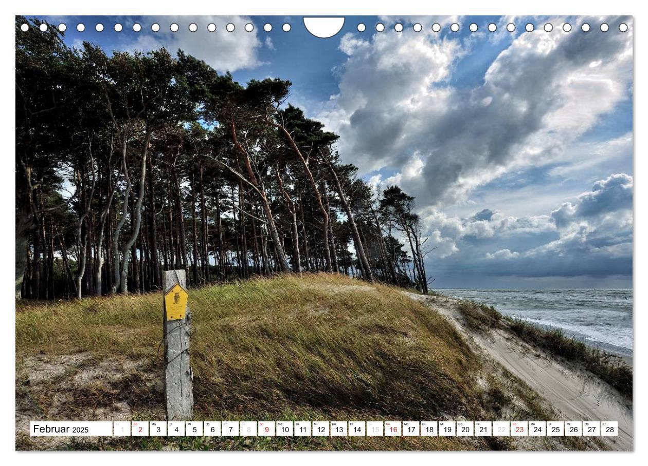 Bild: 9783435476152 | Naturschauspiel Darßer Weststrand (Wandkalender 2025 DIN A4 quer),...