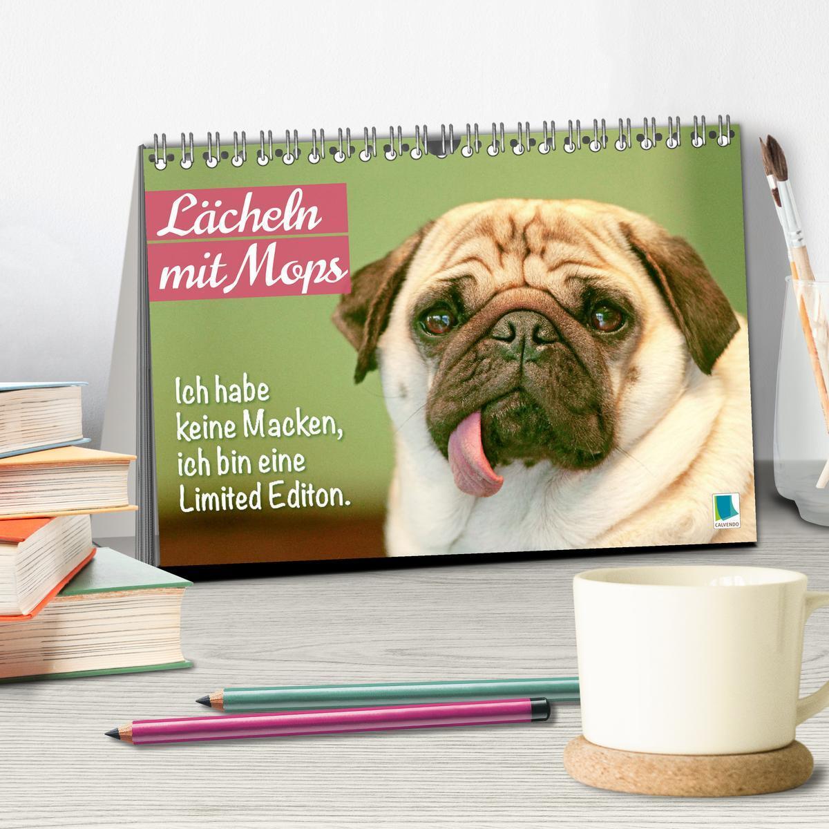 Bild: 9783457167267 | Lächeln mit Mops (Tischkalender 2025 DIN A5 quer), CALVENDO...