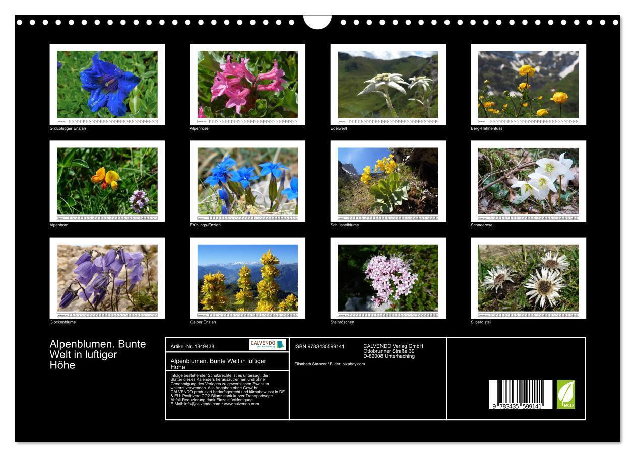 Bild: 9783435599141 | Alpenblumen. Bunte Welt in luftiger Höhe (Wandkalender 2025 DIN A3...