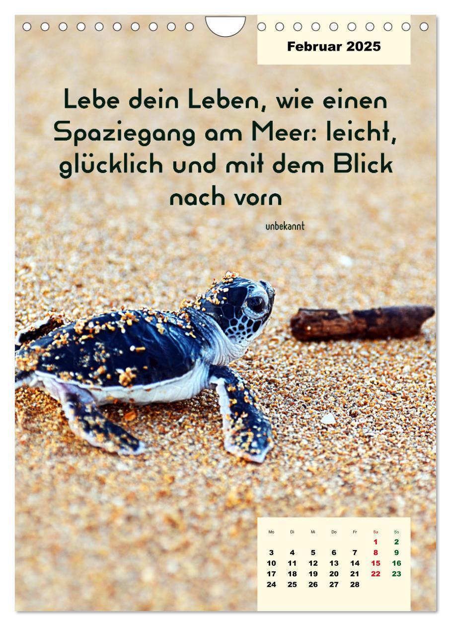 Bild: 9783435882434 | Verrückt nach MEER - Wellen - Strand - Zitate (Wandkalender 2025...