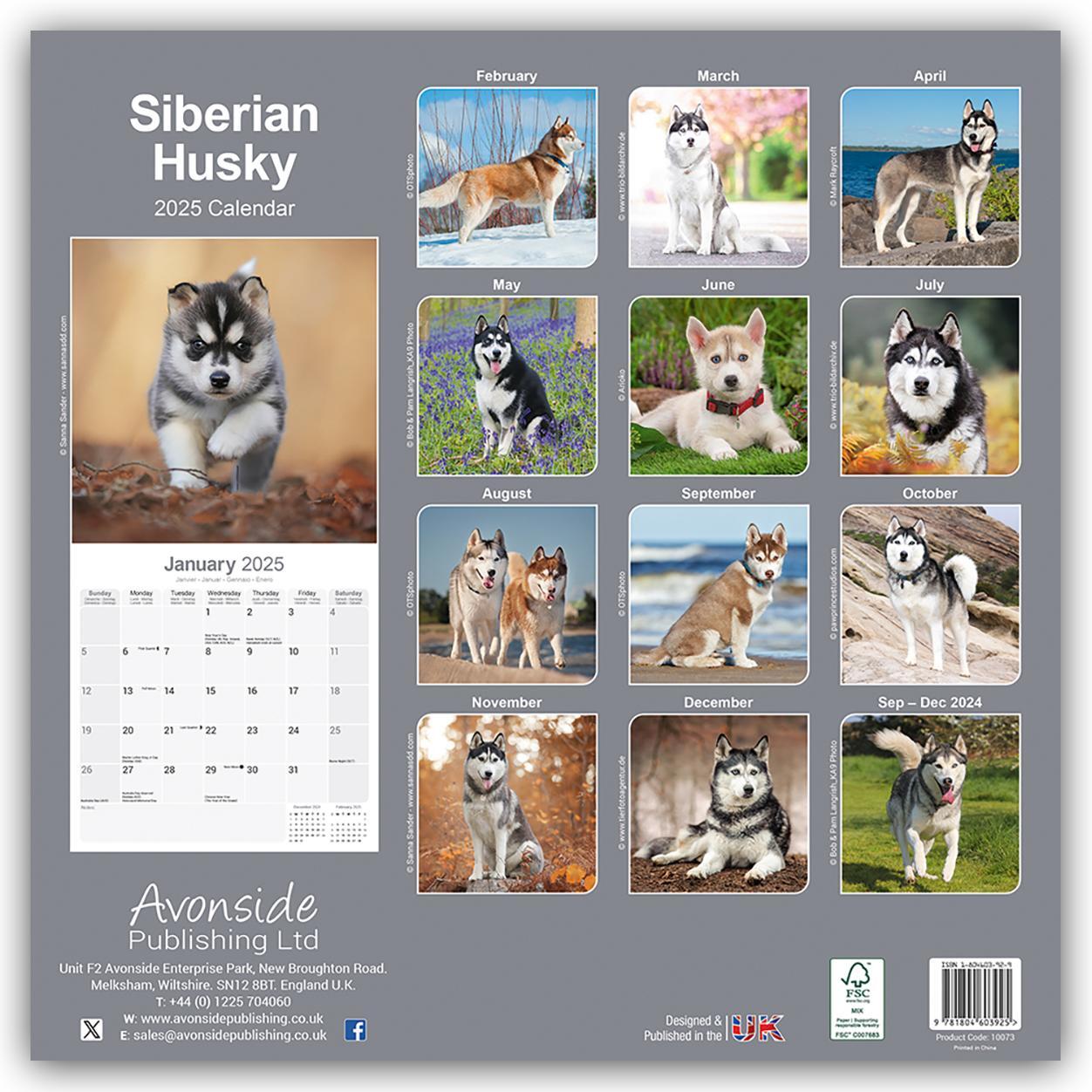 Rückseite: 9781804603925 | Siberian Husky - Sibirische Huskys 2025 - 16-Monatskalender | Ltd