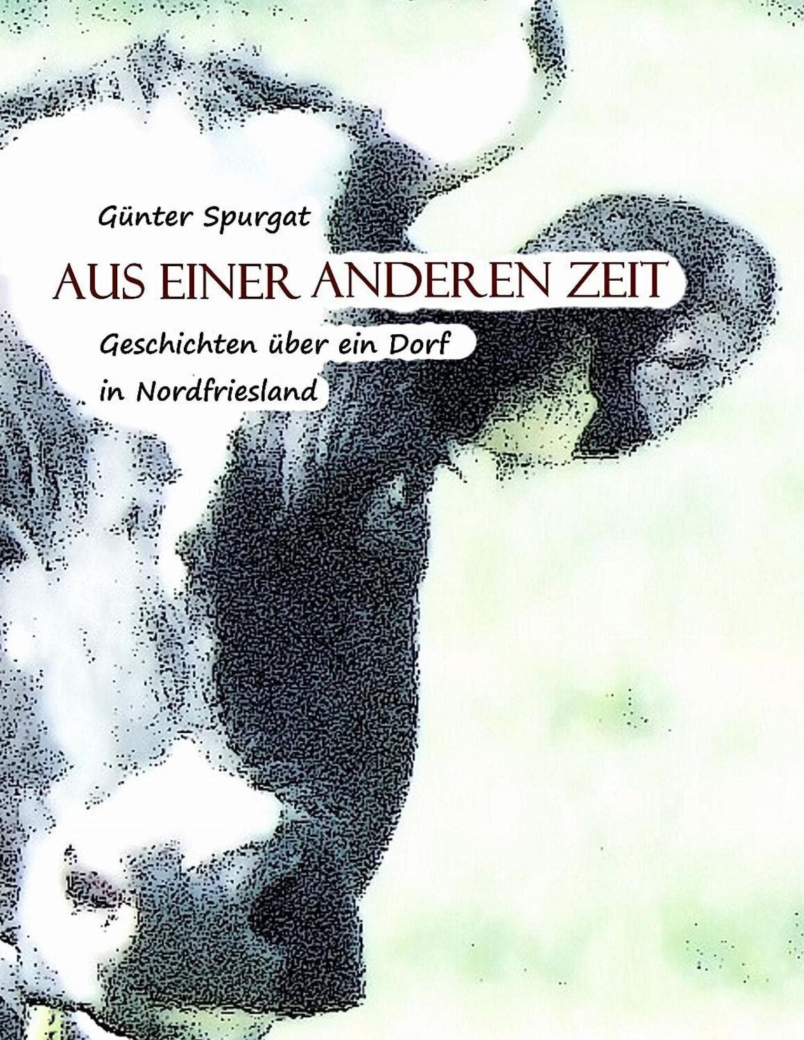 Cover: 9783744829410 | Aus einer anderen Zeit | Geschichten über ein Dorf in Nordfriesland