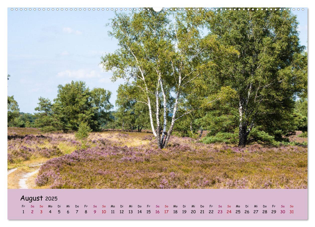 Bild: 9783435024810 | Lüneburger Heide Wege (hochwertiger Premium Wandkalender 2025 DIN...