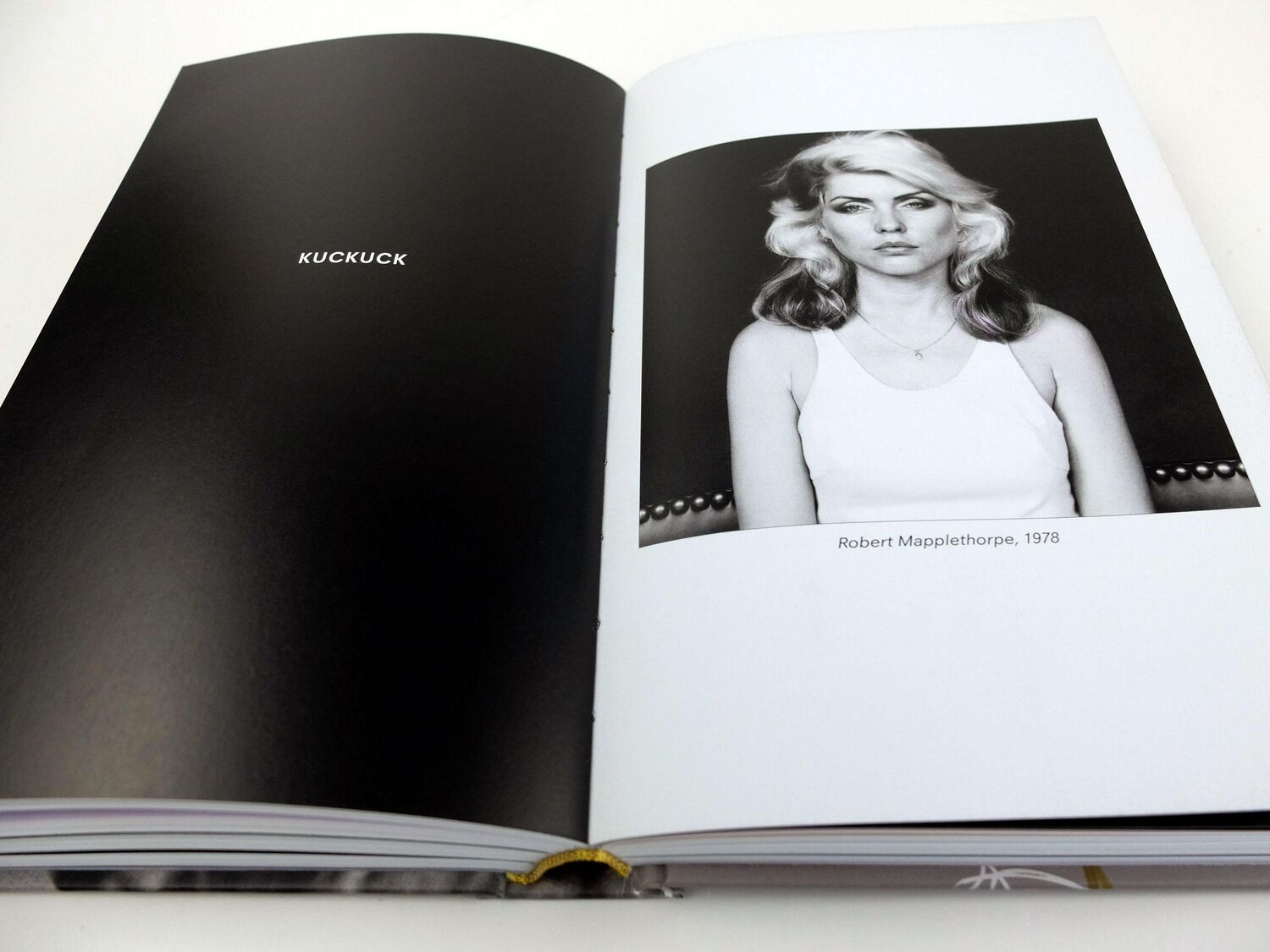 Bild: 9783453271623 | Face it | Die Autobiografie | Debbie Harry | Buch | 432 S. | Deutsch