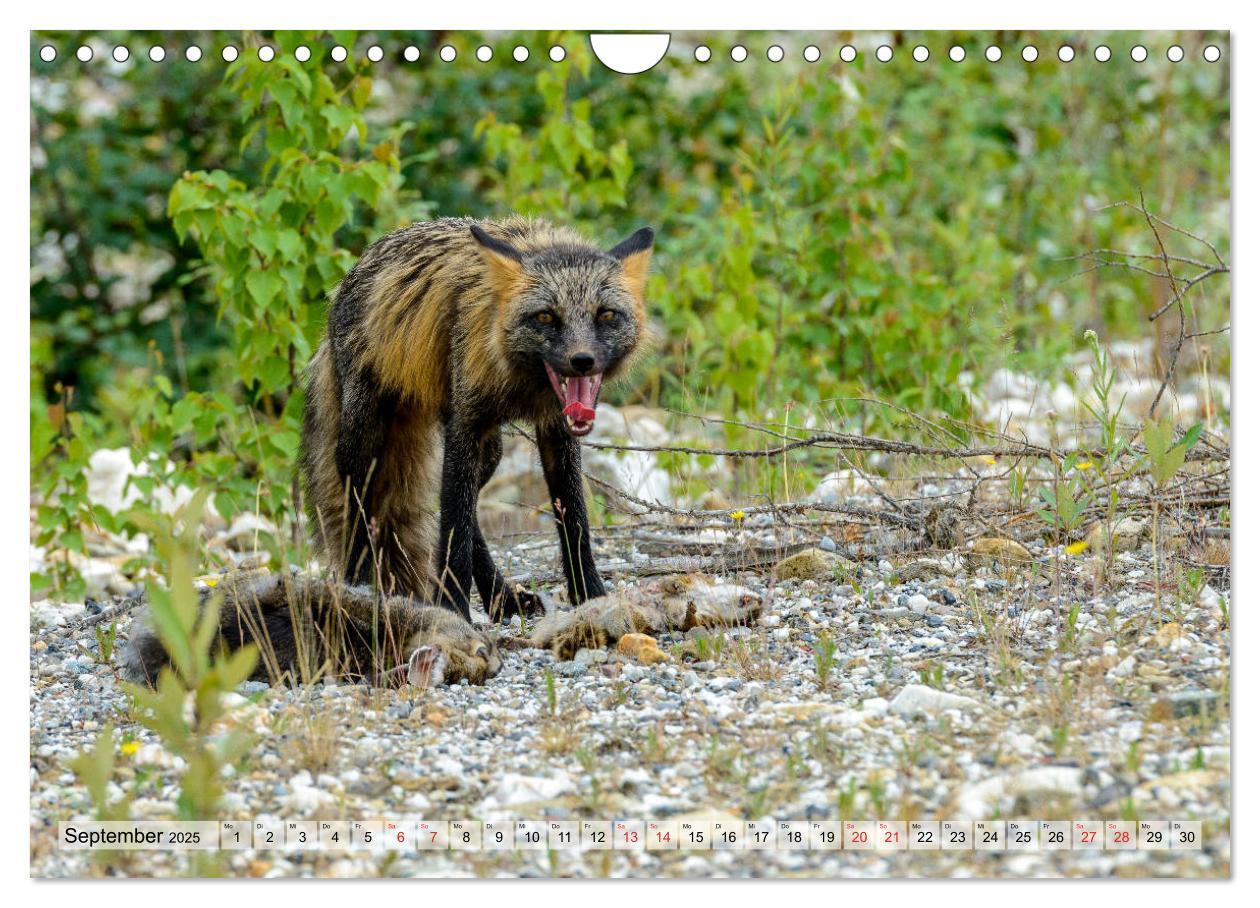 Bild: 9783435172399 | Willkommen in Dawson City - Die legendäre Goldgräberstadt am Yukon...