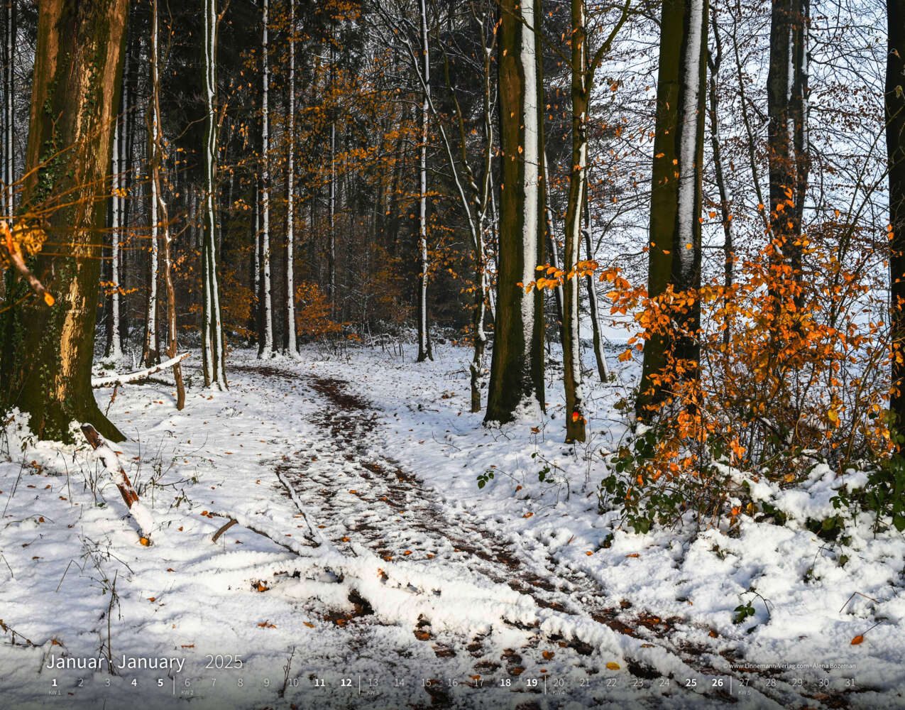 Bild: 9783862923427 | Wandern 2025 Großformat-Kalender 58 x 45,5 cm | Hiking 2025 | Verlag