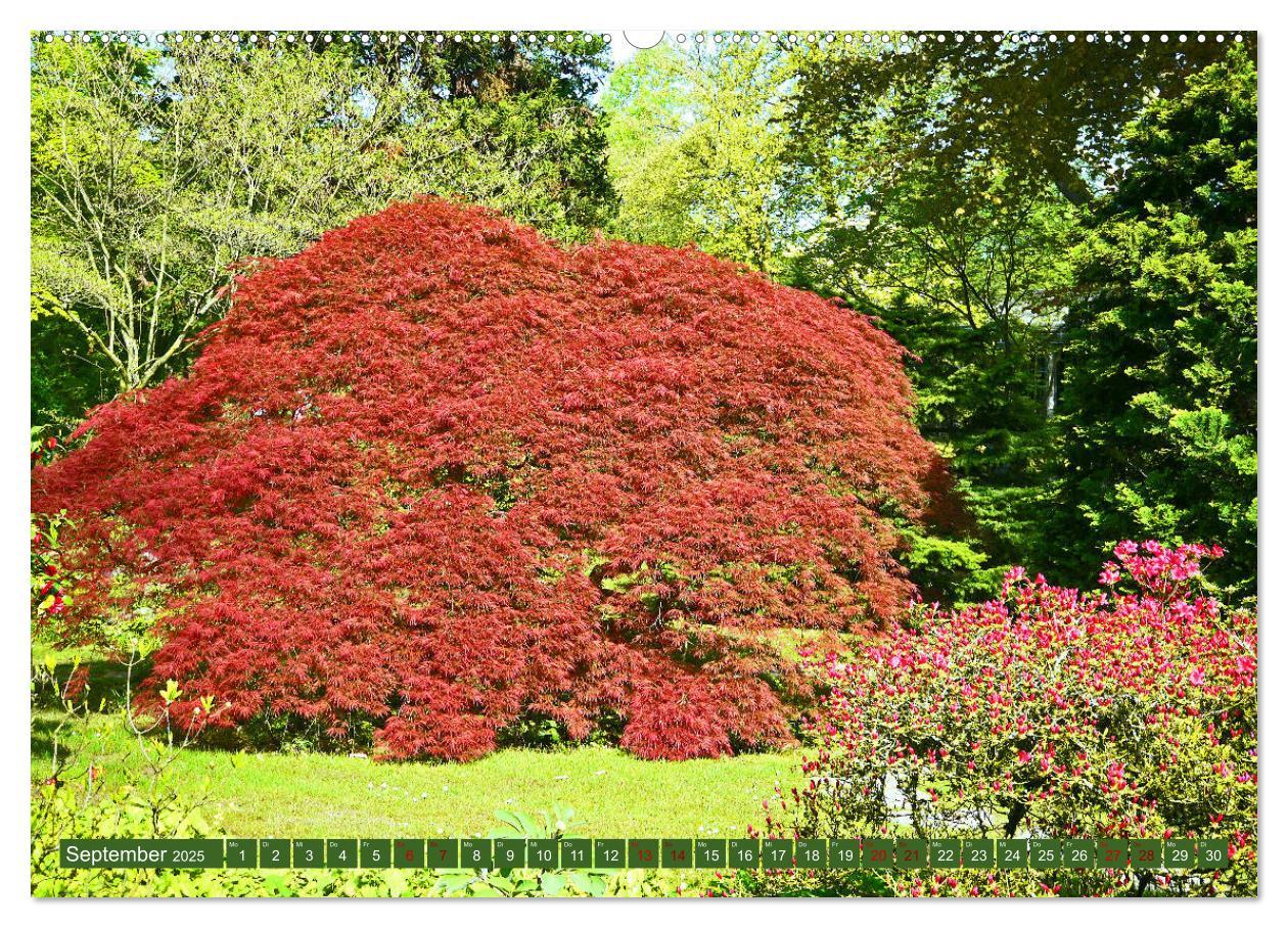 Bild: 9783435324279 | Japanischer Garten Leverkusen (Wandkalender 2025 DIN A2 quer),...