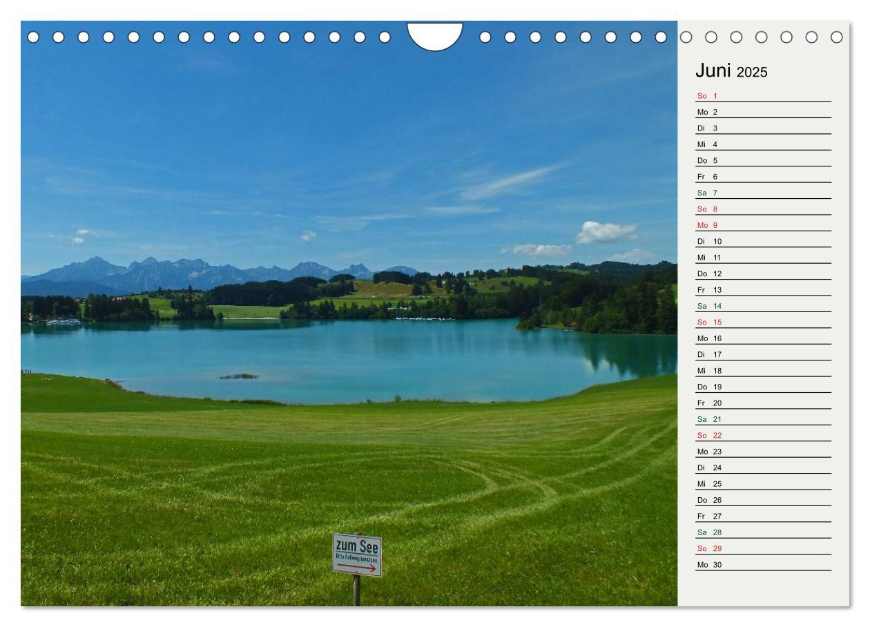 Bild: 9783435668571 | Schwangauer Momente (Wandkalender 2025 DIN A4 quer), CALVENDO...