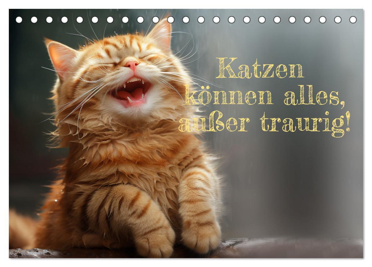 Cover: 9783383837753 | Katzen können alles, außer traurig. (Tischkalender 2025 DIN A5...