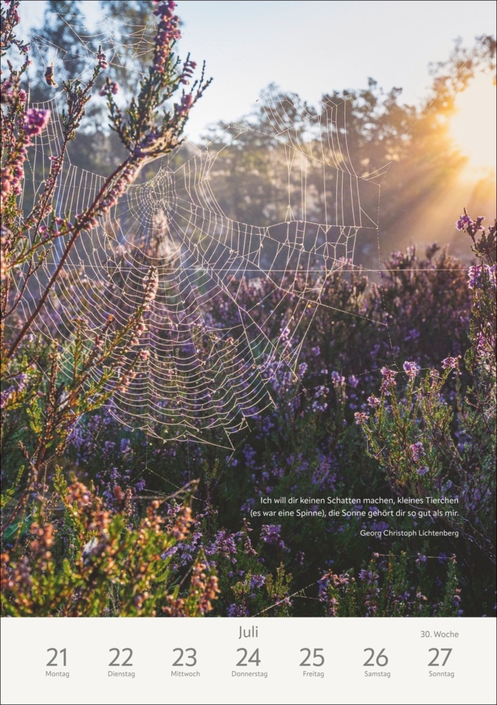 Bild: 9783840034923 | Literaturkalender Natur Wochen-Kulturkalender 2025 | Ruth Dangelmeier