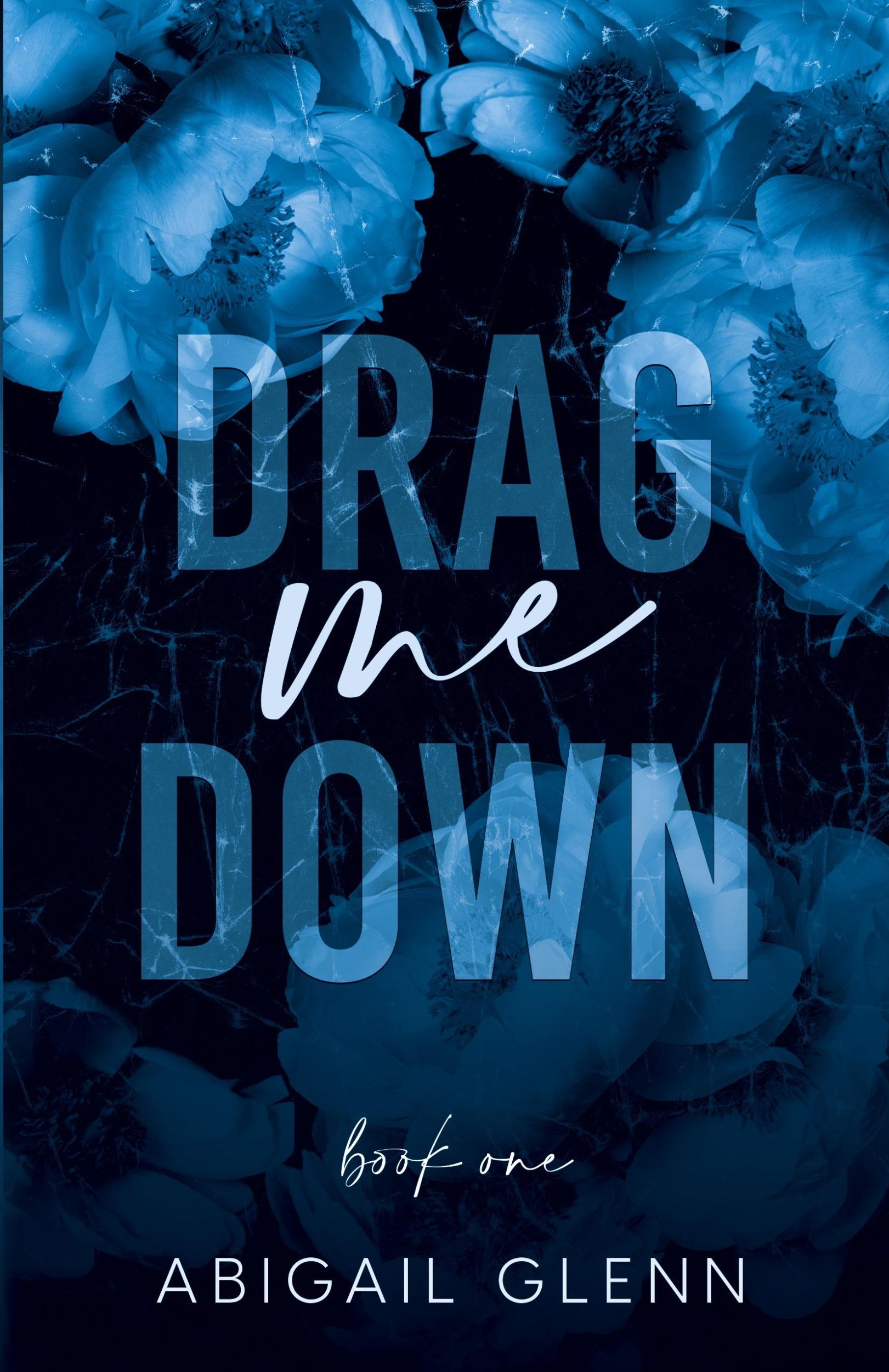 Cover: 9781955532310 | Drag Me Down | Abigail E Glenn | Taschenbuch | Englisch | 2023