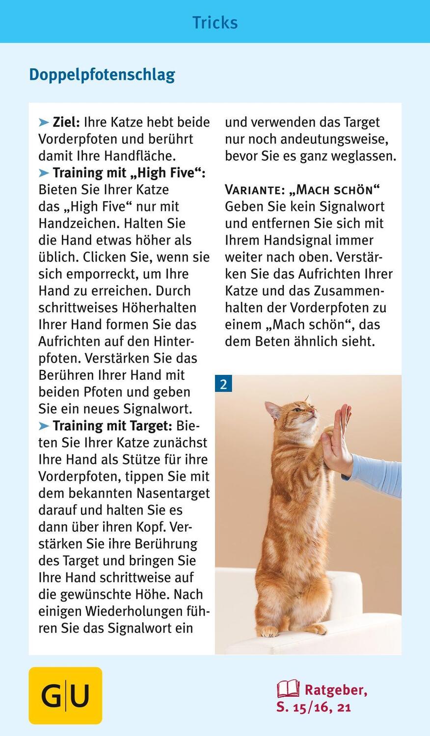 Bild: 9783833835926 | Katzen-Clicker-Box | Plus Clicker für sofortigen Spielspaß | Rödder