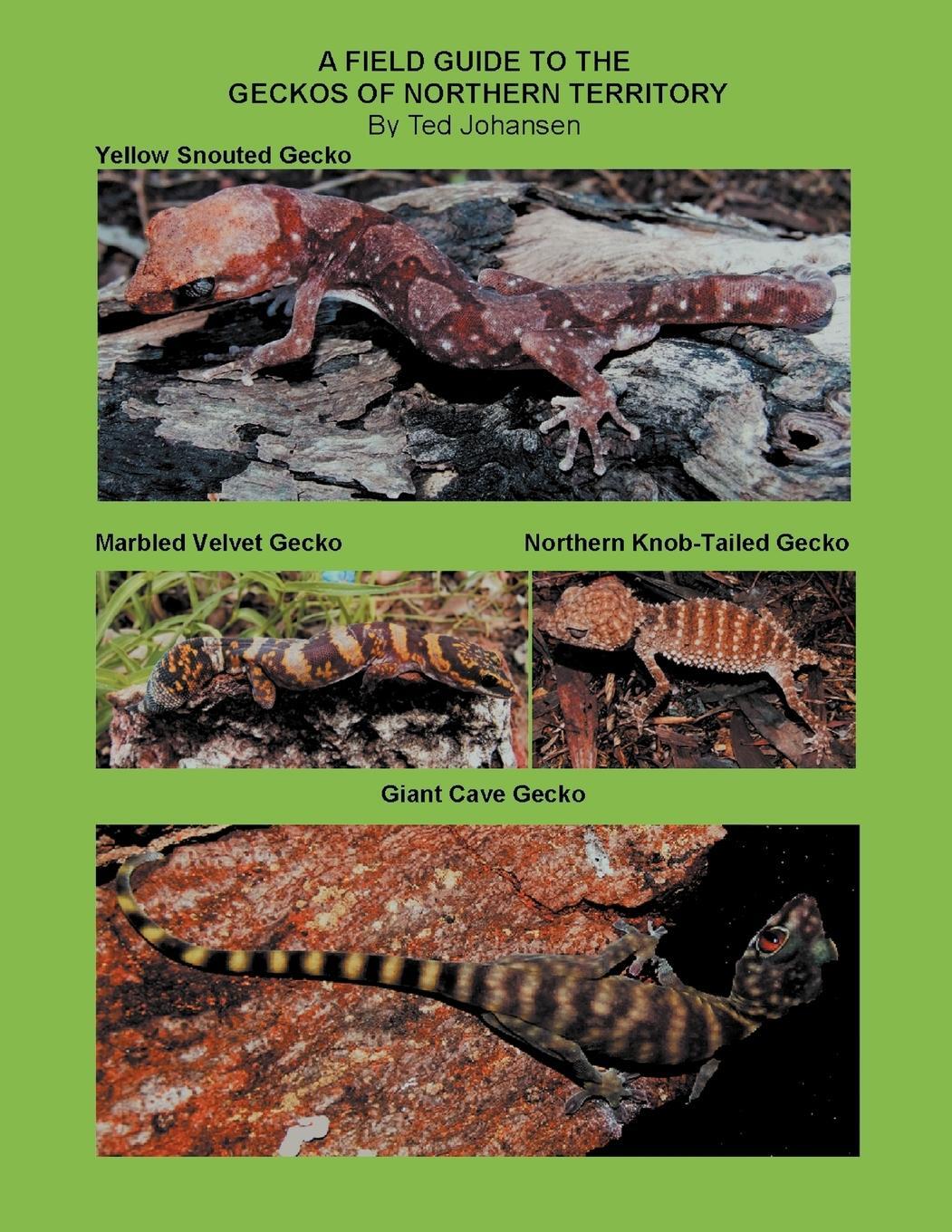 Cover: 9781467001120 | A Field Guide to the Geckos of Northern Territory | Ted Johansen