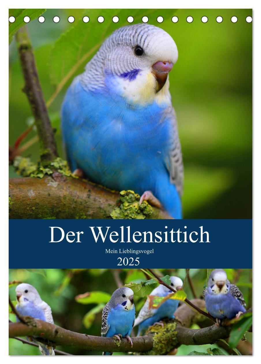 Cover: 9783435935659 | Der Wellensittich - Mein Lieblingsvogel (Tischkalender 2025 DIN A5...