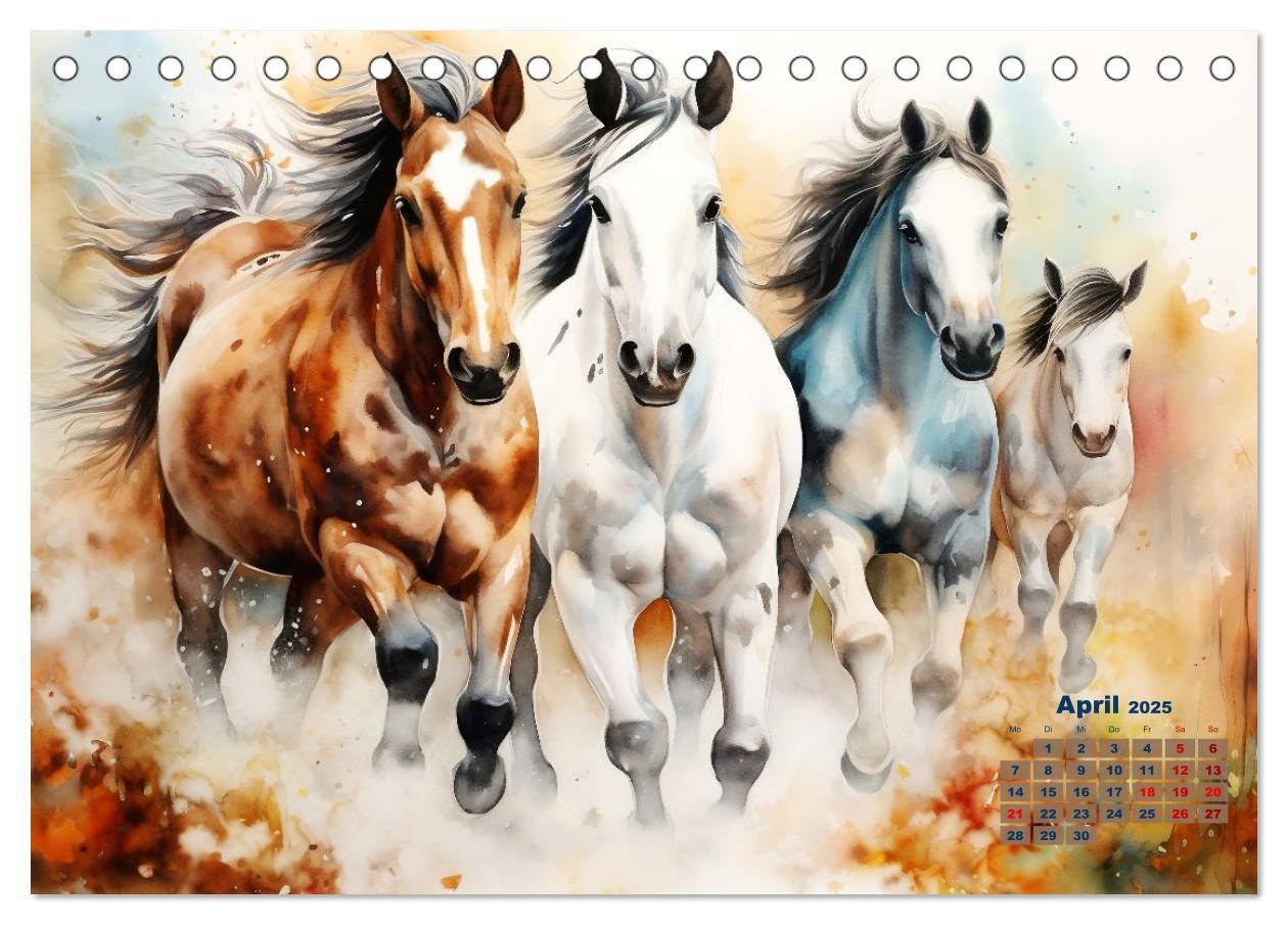 Bild: 9783435012961 | Kraftpakete in Aquarell (Tischkalender 2025 DIN A5 quer), CALVENDO...