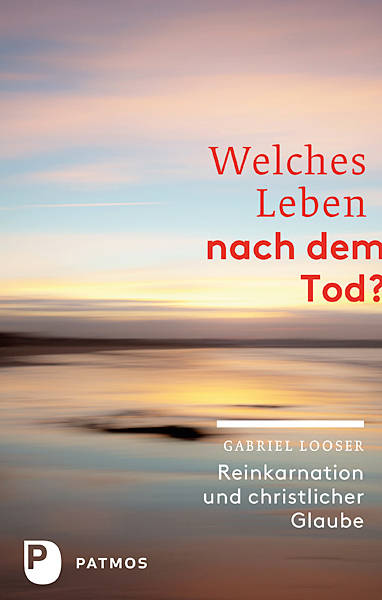 Cover: 9783843603393 | Welches Leben nach dem Tod? | Reinkarnation und christlicher Glaube