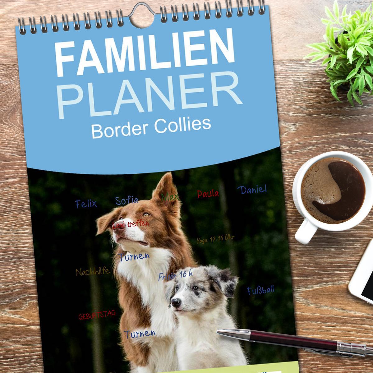 Bild: 9783457120590 | Familienplaner 2025 - Border Collies 2025 mit 5 Spalten...