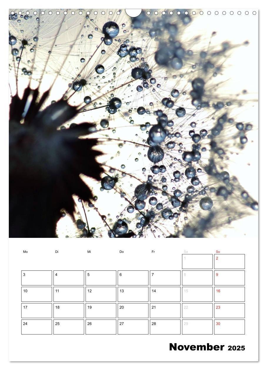 Bild: 9783457068458 | Pusteblumentraum - Dreams of Dandelion (Wandkalender 2025 DIN A3...