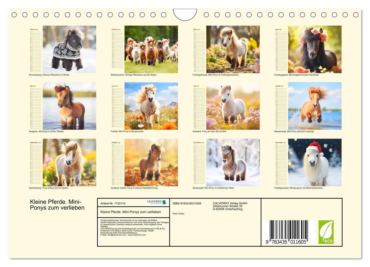 Bild: 9783435011605 | Kleine Pferde. Mini-Ponys zum verlieben (Wandkalender 2025 DIN A4...