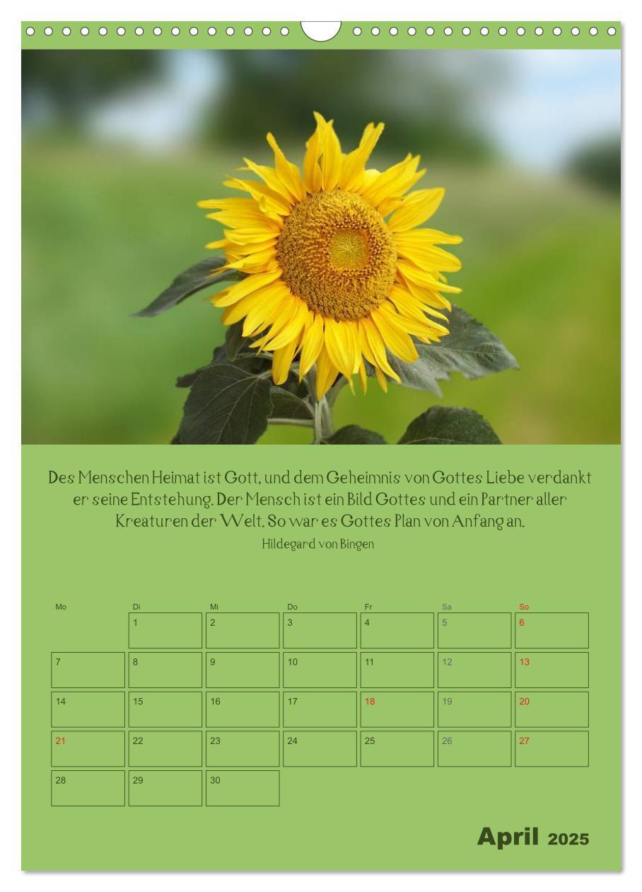 Bild: 9783457059746 | Erkenntnis und Weisheit - Hildegard von Bingen (Wandkalender 2025...