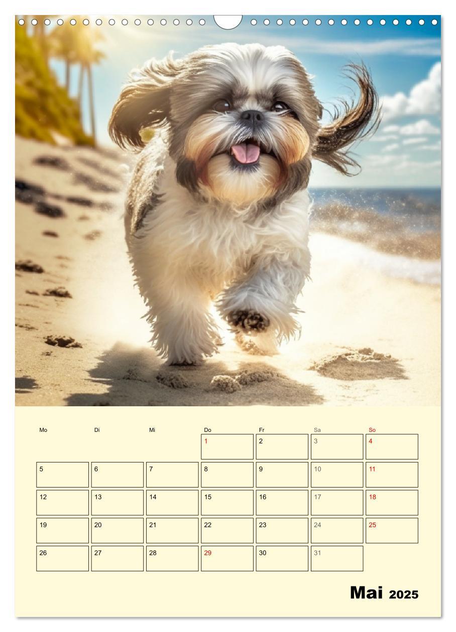 Bild: 9783435873623 | Shih Tzu Alarm. Glückliche Wuschelköpfe (Wandkalender 2025 DIN A3...