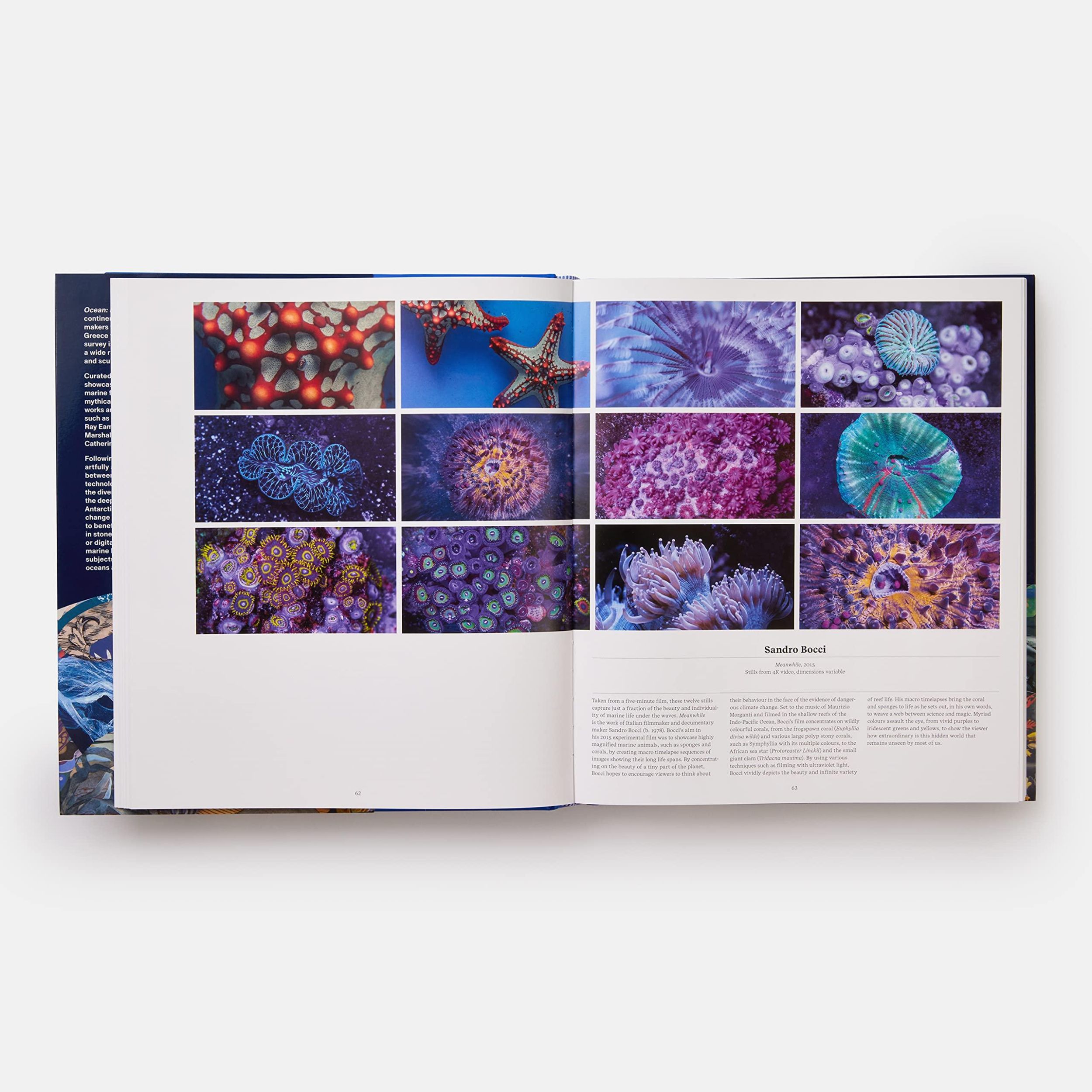 Bild: 9781838664787 | Ocean | Exploring the Marine World | Editors Phaidon (u. a.) | Buch