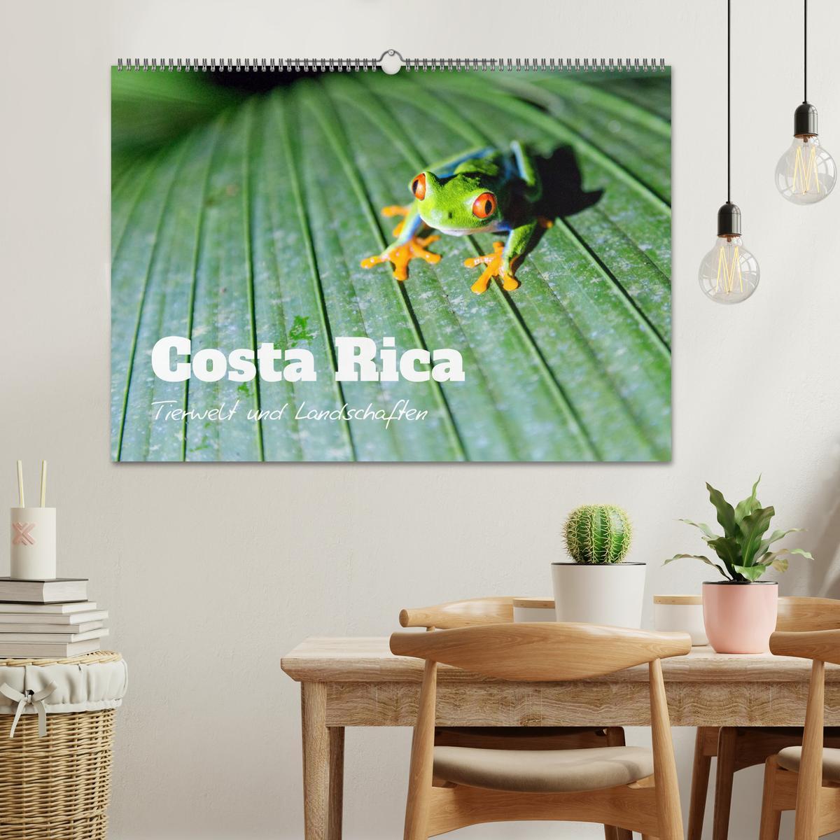 Bild: 9783383948954 | Costa Rica - Tierwelt und Landschaften (Wandkalender 2025 DIN A2...