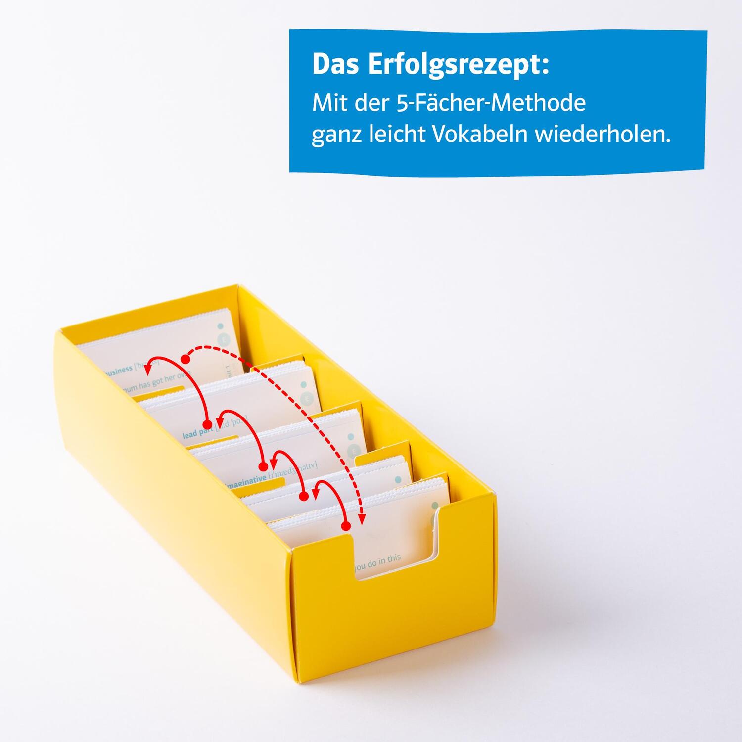 Bild: 9783129240434 | Vokabel-Lernbox zum Schulbuch. Green Line 4. G8. Klasse 8 | Weisshaar