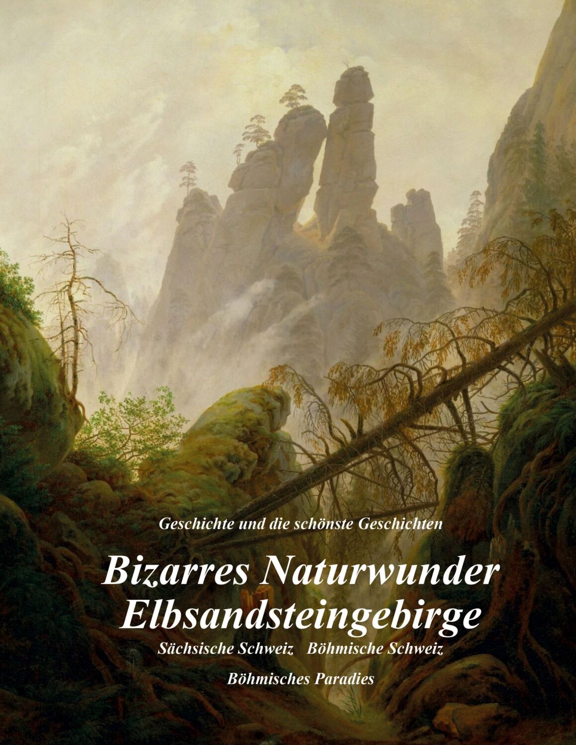 Cover: 9783347128071 | Bizarres Naturwunder Elbsandsteingebirge | Ulrich Metzner | Buch