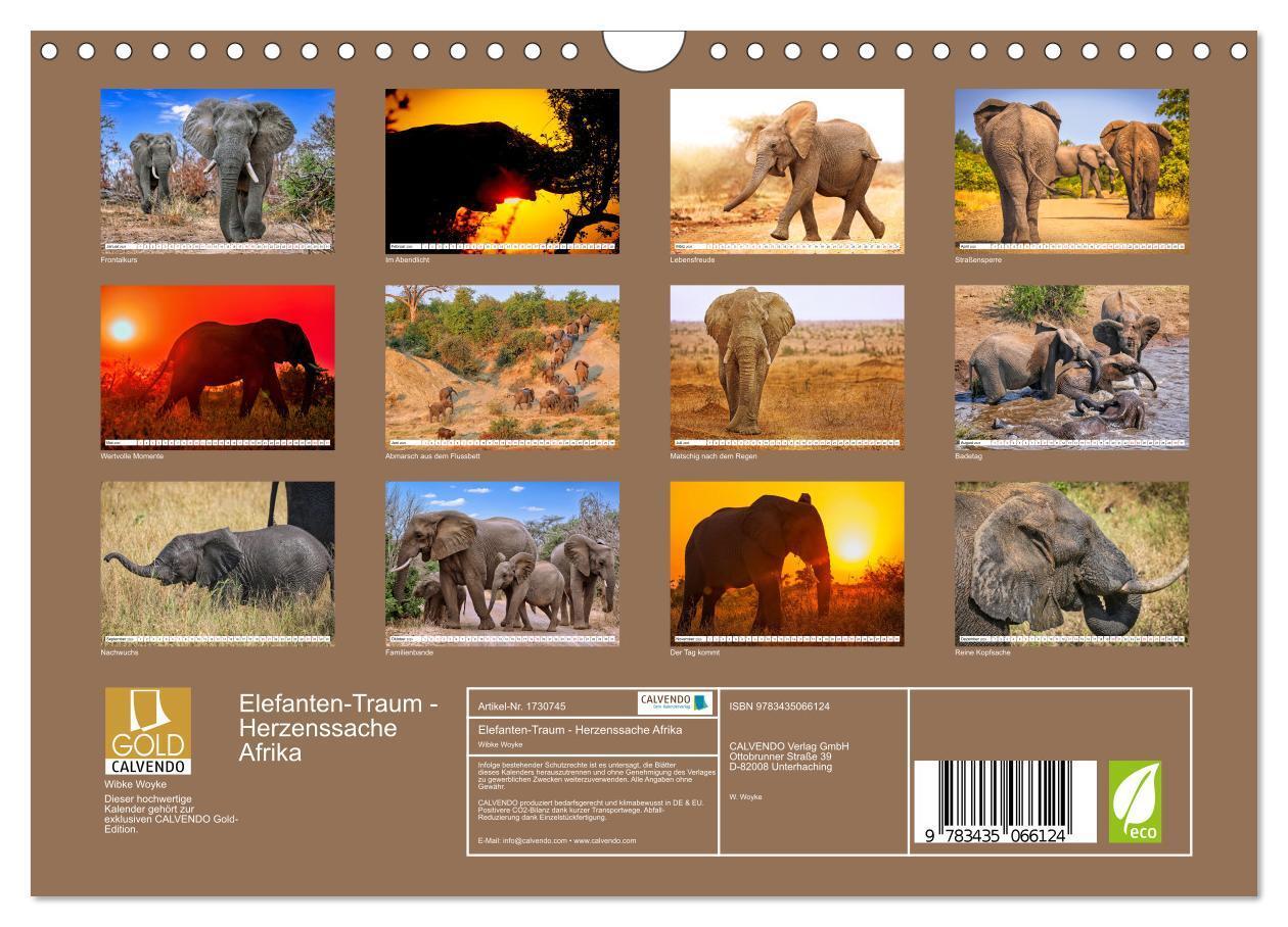 Bild: 9783435066124 | Elefanten-Traum - Herzenssache Afrika (Wandkalender 2025 DIN A4...