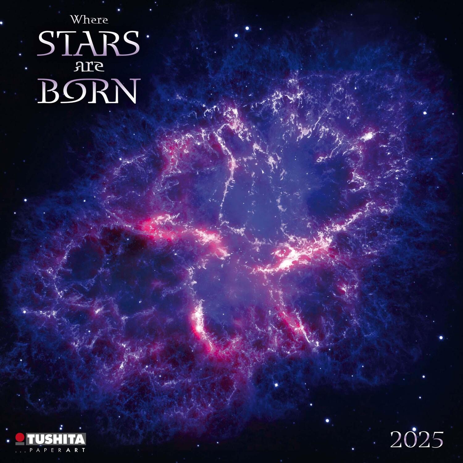 Cover: 9783959293822 | Where Stars are Born 2025 | Kalender 2025 | Kalender | 28 S. | 2025