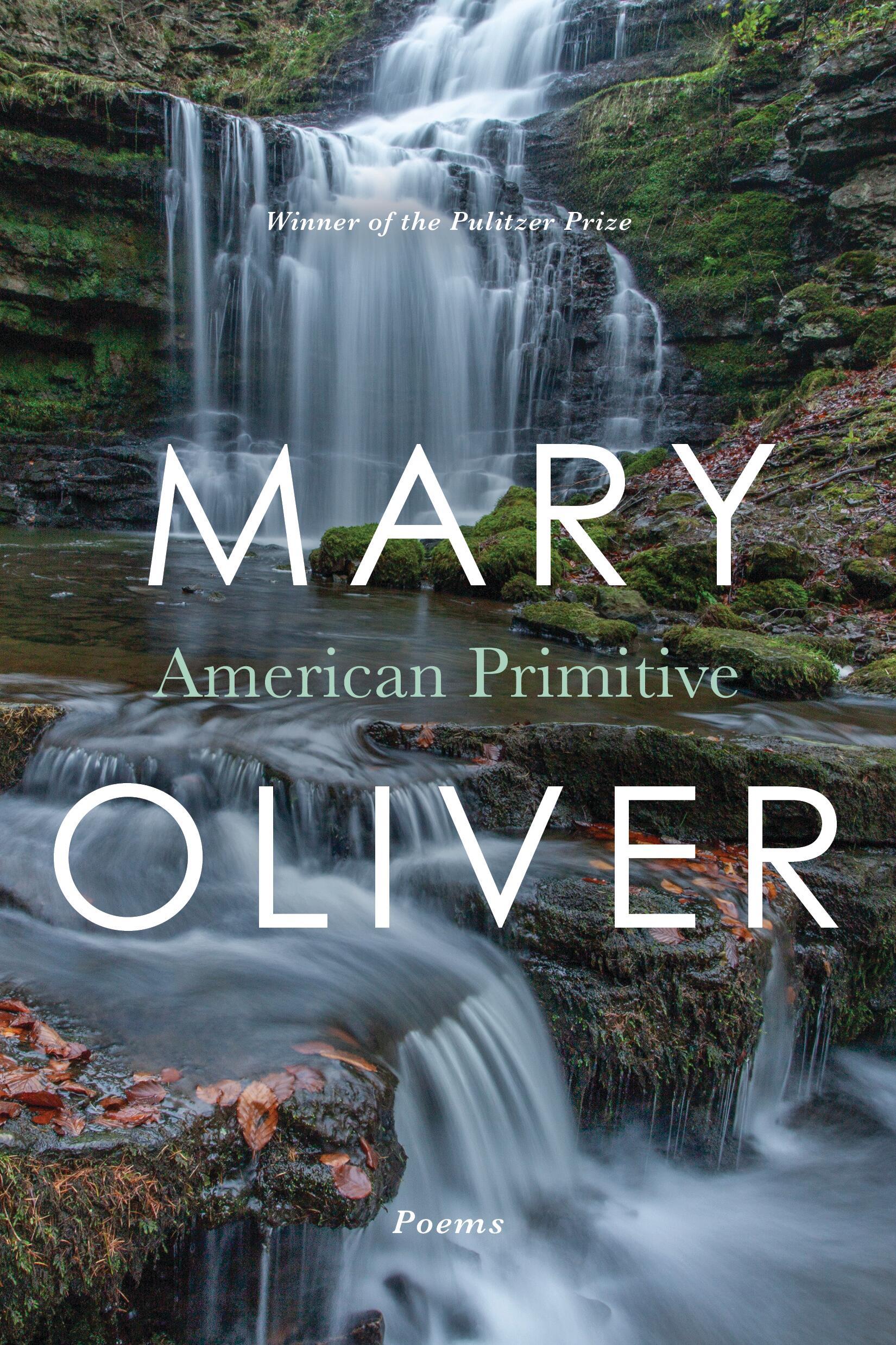 Cover: 9780316650045 | American Primitive | Mary Oliver | Taschenbuch | Englisch | 1983