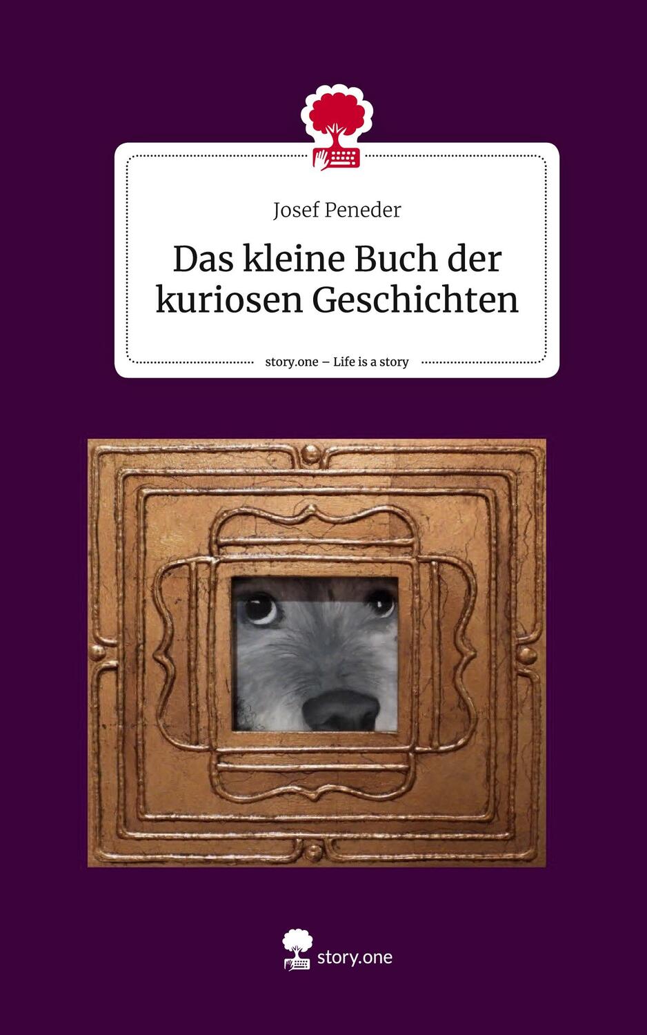 Cover: 9783711510402 | Das kleine Buch der kuriosen Geschichten. Life is a Story - story.one