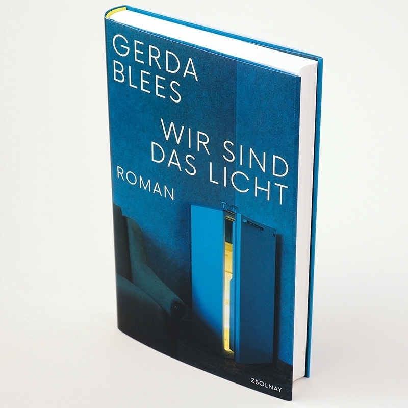 Bild: 9783552072749 | Wir sind das Licht | Roman | Gerda Blees | Buch | 240 S. | Deutsch