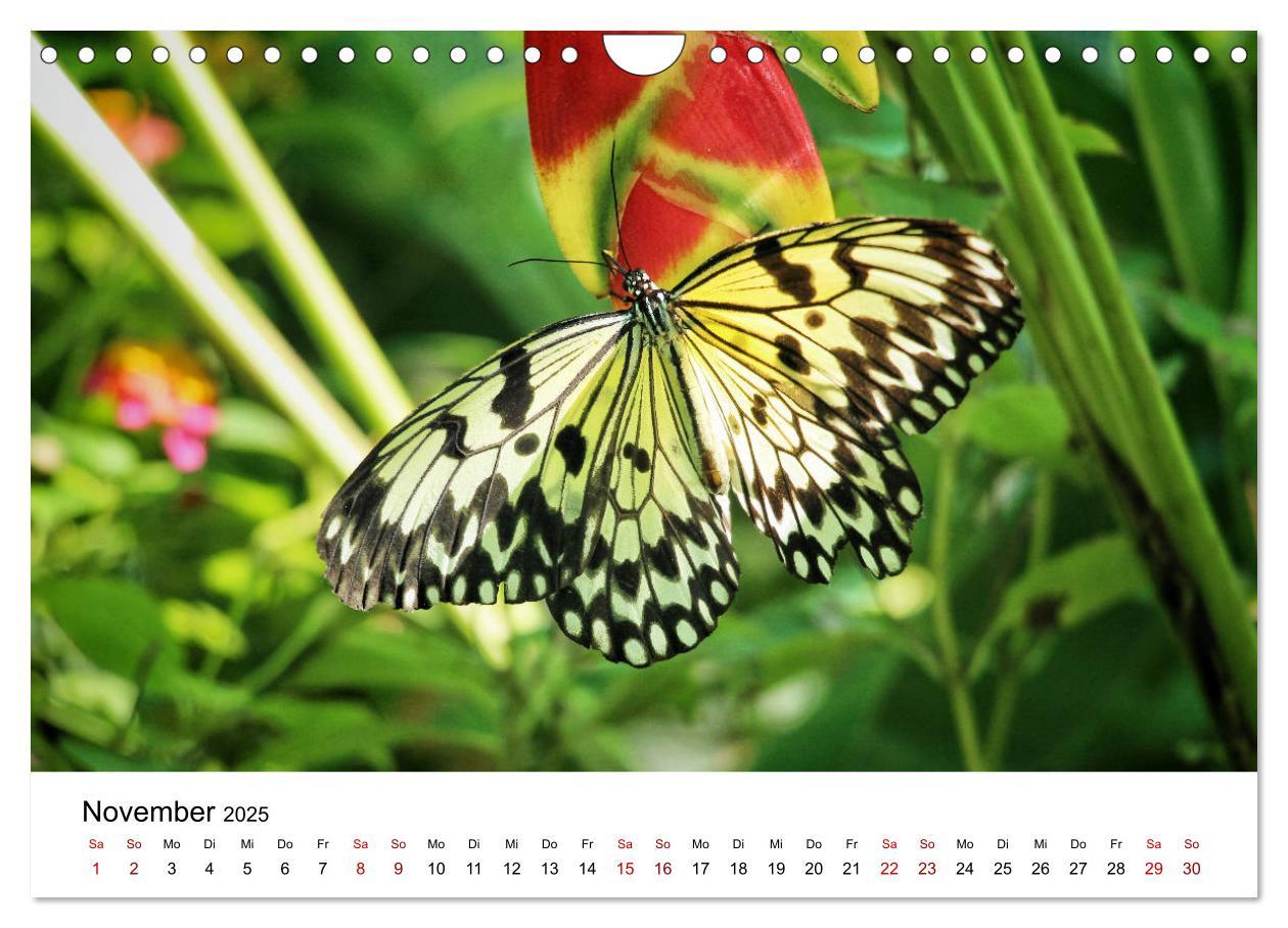 Bild: 9783435145973 | Philippinen - Faszinierende Inselwelten (Wandkalender 2025 DIN A4...