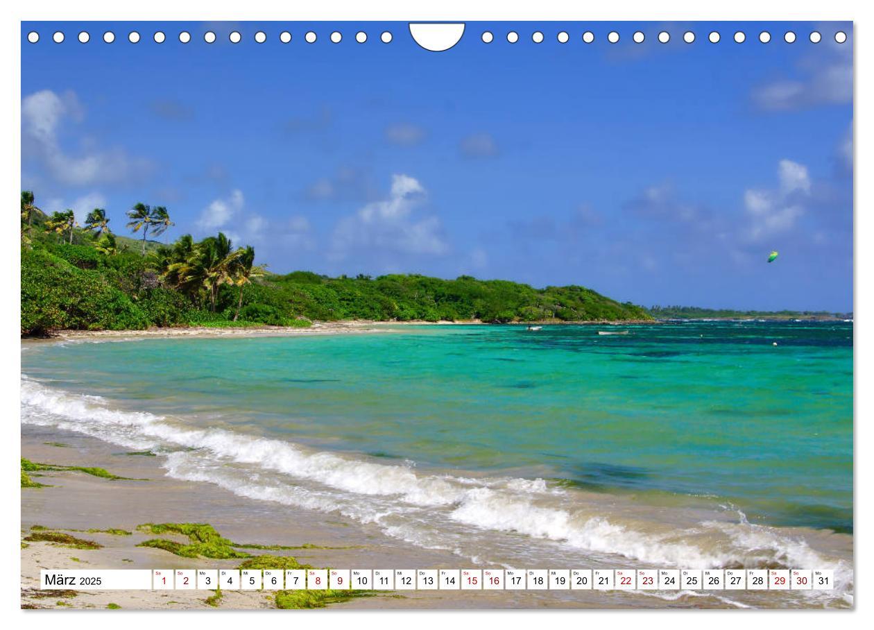 Bild: 9783435380435 | Martinique, die Traumstrände (Wandkalender 2025 DIN A4 quer),...